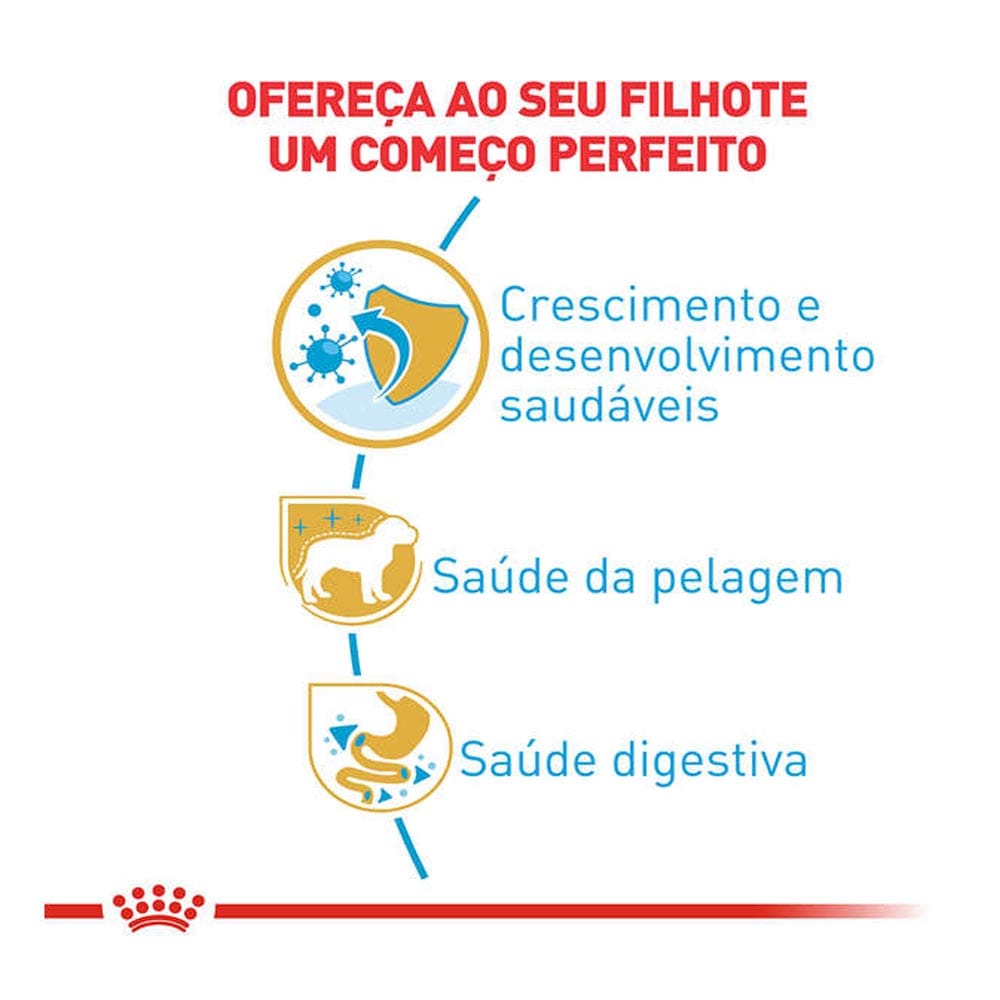 image_030221a6-63a9-46d9-8b64-91965ee4a22e