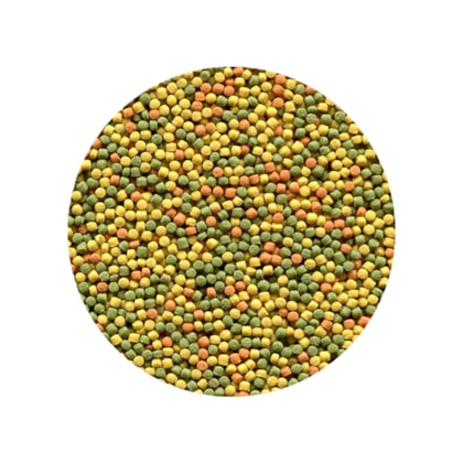 image_b0e03b3a-b8e9-43db-b049-76ceadd81c47