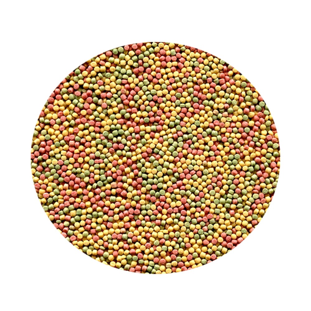 image_8d8594b7-f0b5-4a2b-bcdc-50764d5178f6