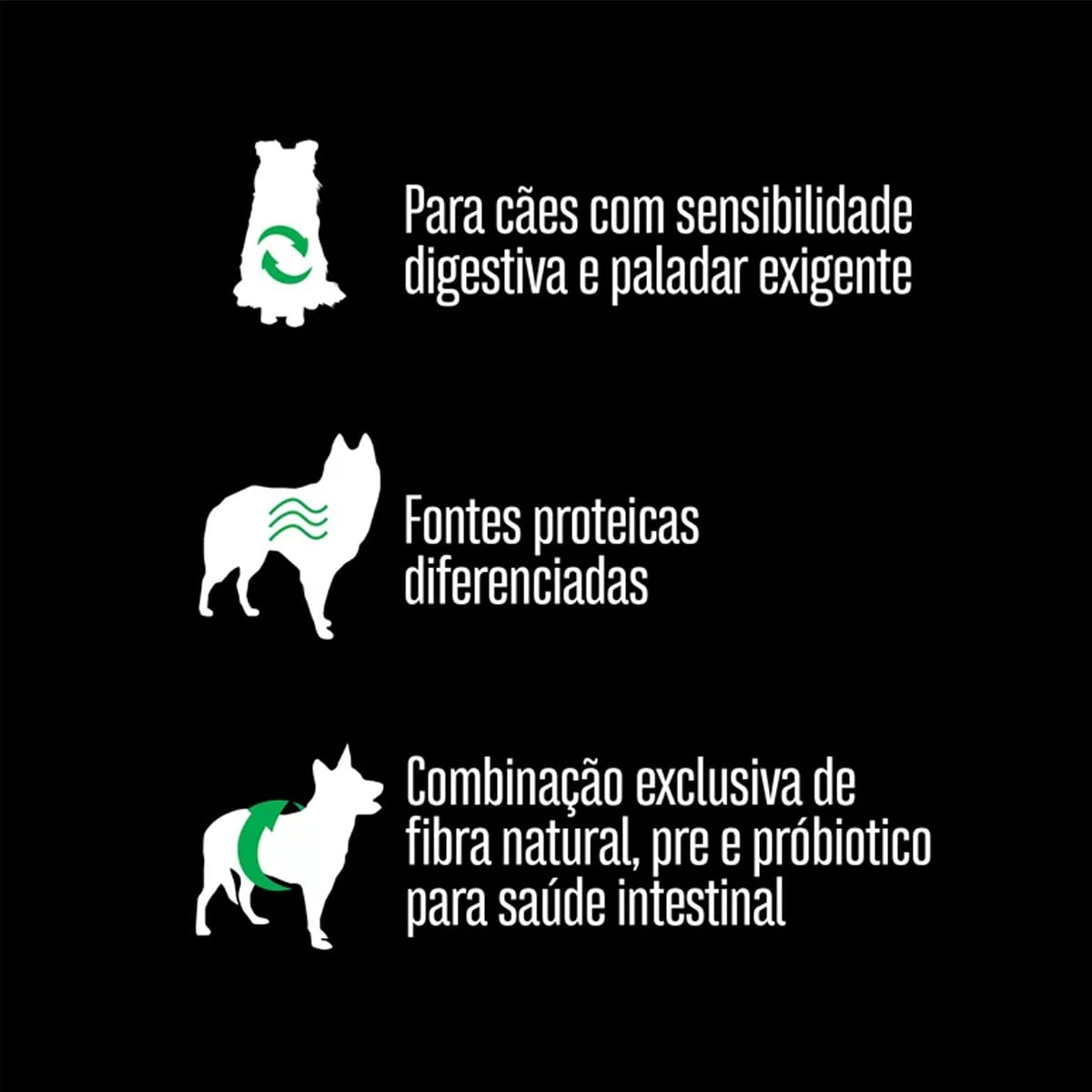 image_b92a6ddc-2e28-4507-92a9-f016dc1814c2