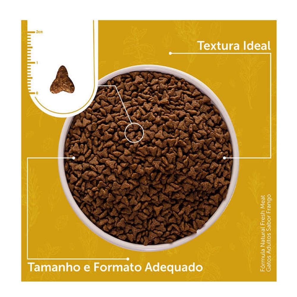 image_e941a069-90d4-4f98-958a-5a7fdb8f51ca