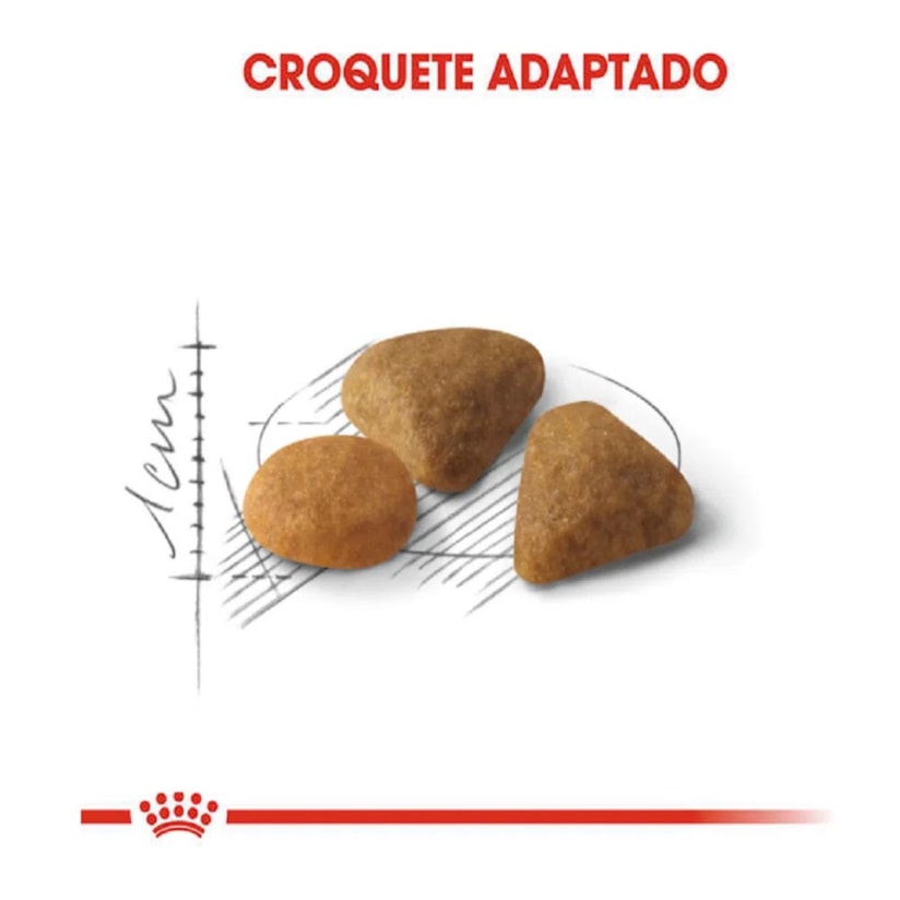 Product main image - 1dde746c-589f-4a9b-81ab-3729eb8854db