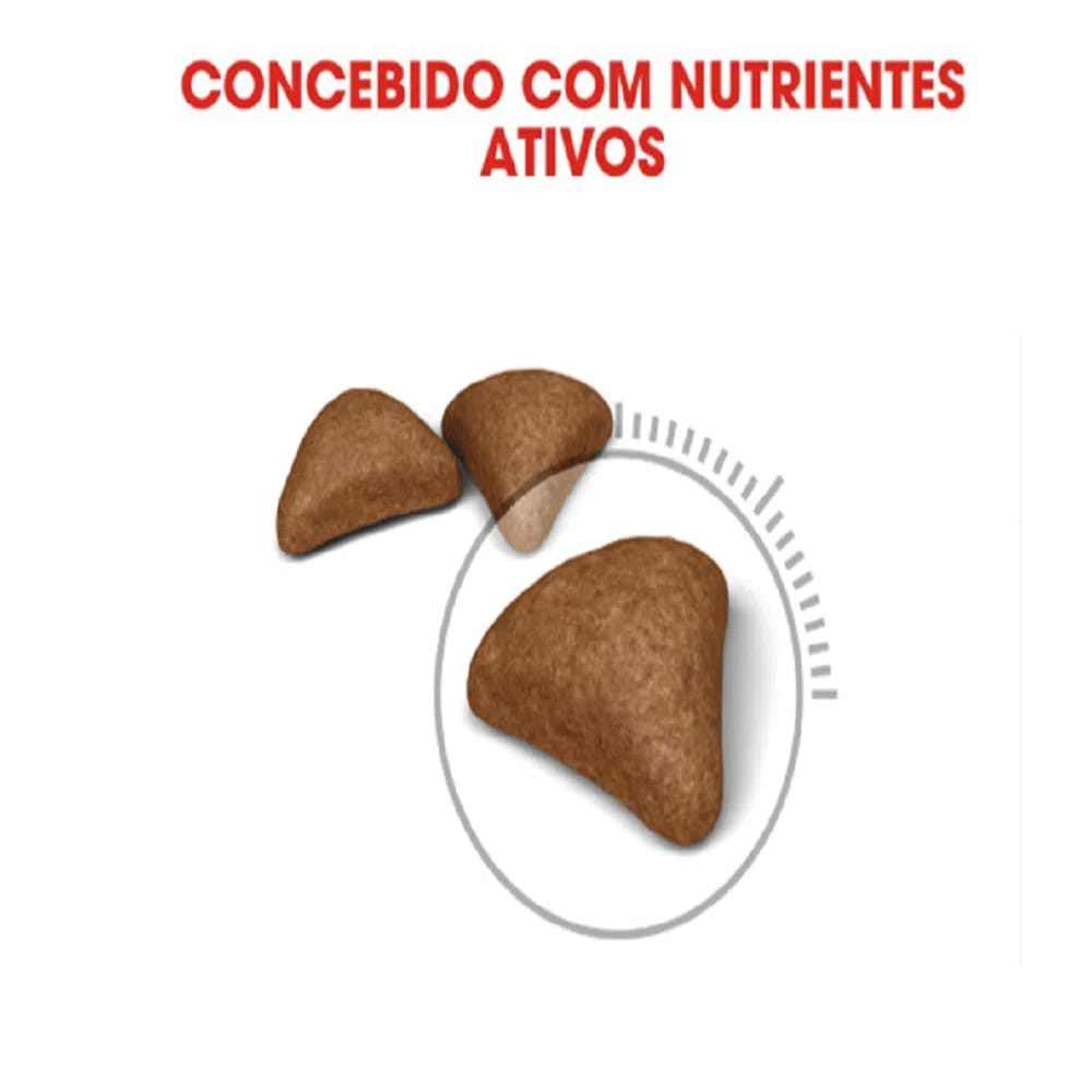 image_ac967899-69cb-40fc-b7e8-d77aa81f939b