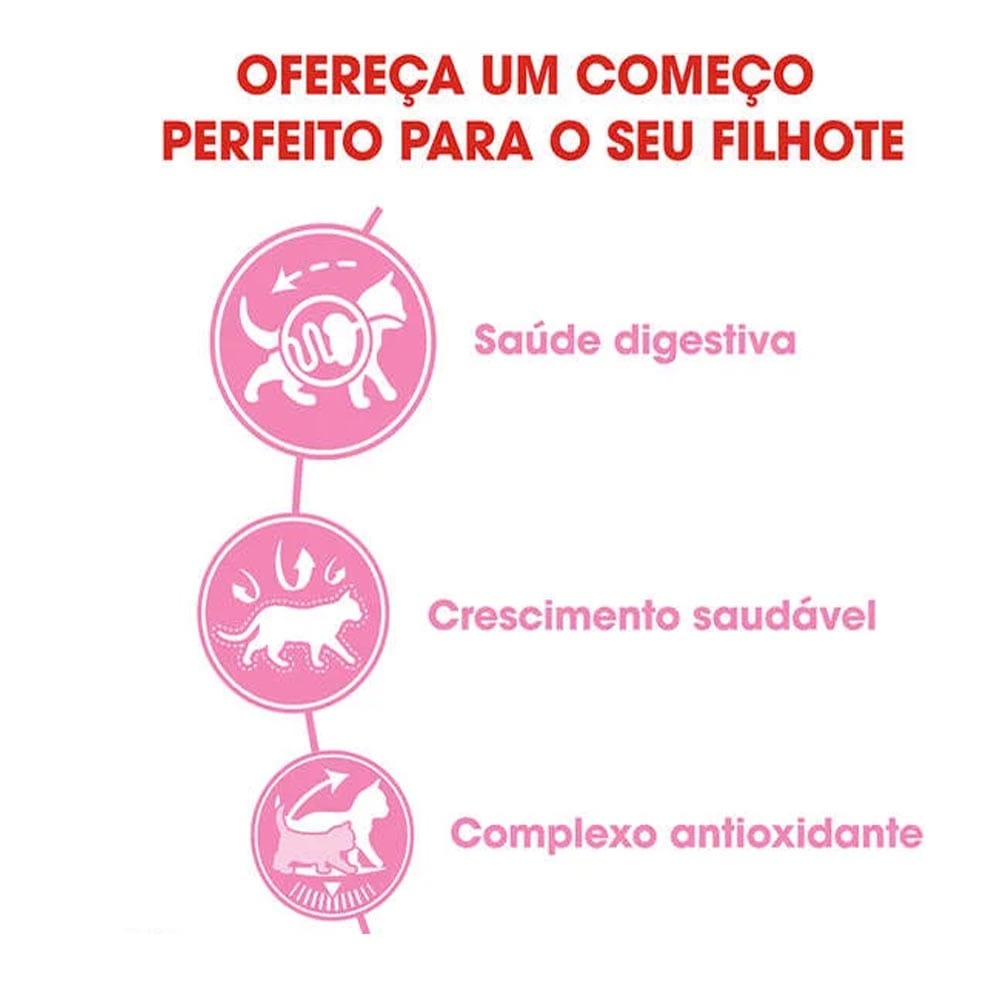 image_a16516f2-66d3-46c8-bc80-a43dce38a202