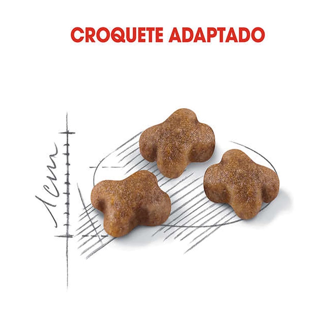 image_f53e7df4-c5c4-4bc6-a421-452a1bee419c