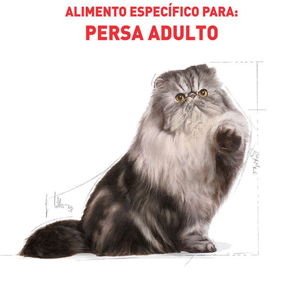 image_5bf8ed48-26fe-496c-a34a-f1e473424743