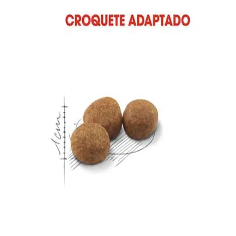 image_915fd3ec-fb3d-4eff-9965-fa6dbfa3fe9c