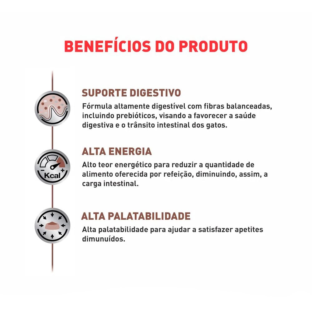 image_428f1b63-b4b6-4cc6-aa6c-a61964fc046f