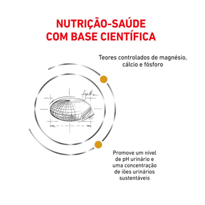 Product main image - 90f7c898-0f3a-4bf1-8872-6385cda5f4c9