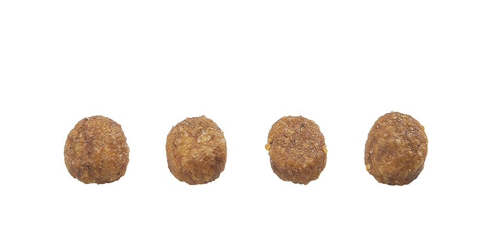 image_97197c6f-89f4-4afa-b0fc-7a062ac5058e