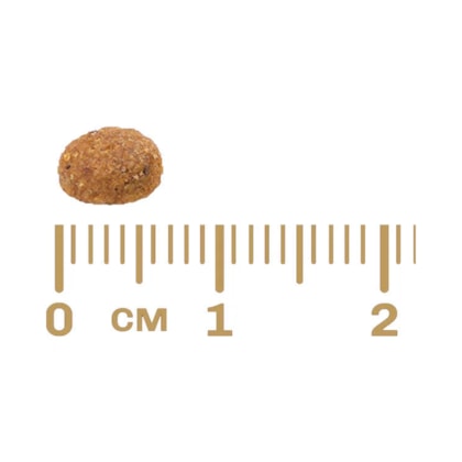 image_a509d94a-594f-4df9-97d3-9f7781229d7d