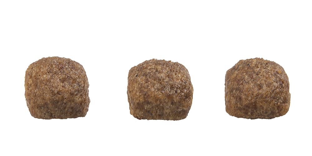 image_8f427d1c-deb0-4448-ae08-d5140a57a88b