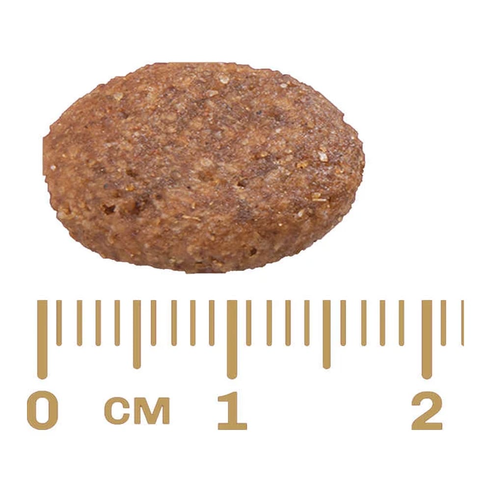 image_1b700fed-dac0-4c89-9294-eba5ee2dbcc1