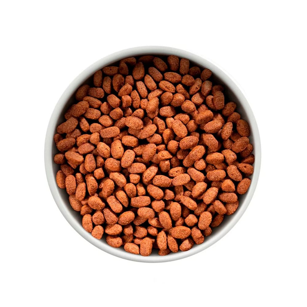 image_4c2db6aa-70b7-410e-b78e-1f38b3e464b7