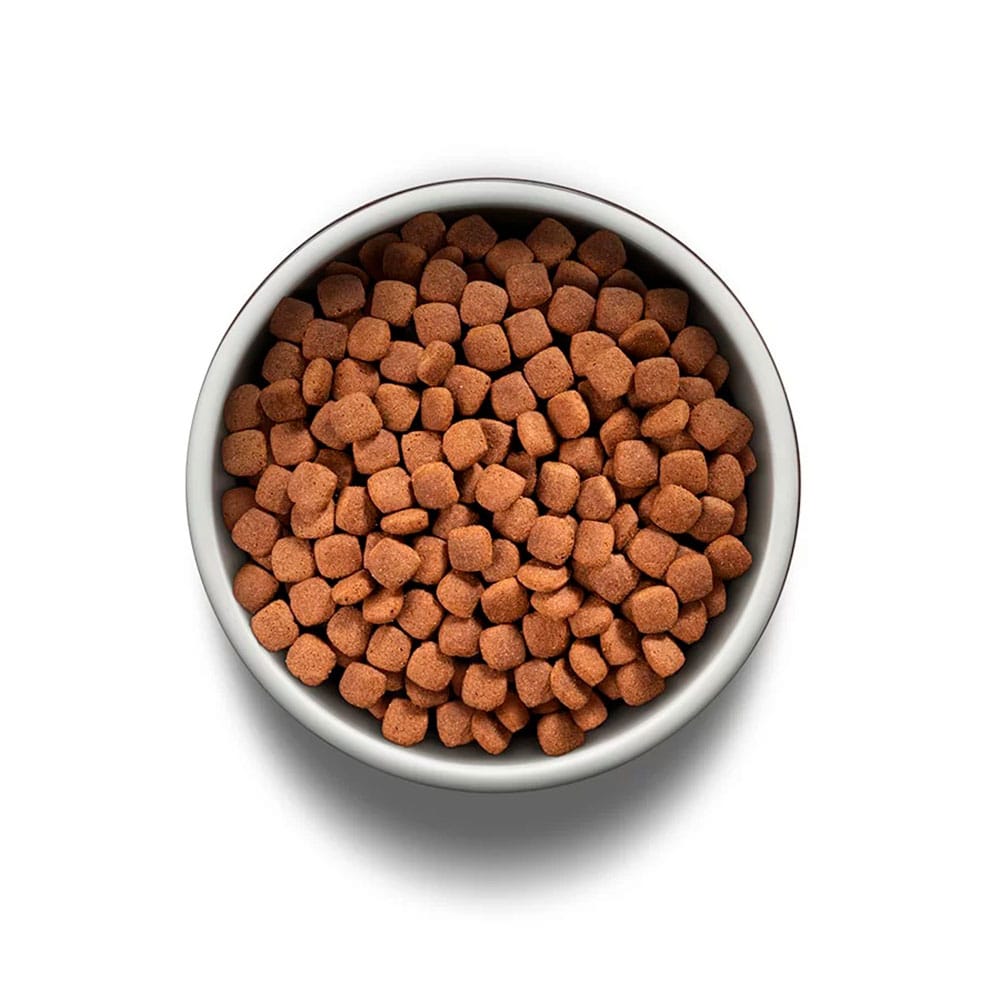 image_4b8c6581-4209-4525-b1a5-413562d19ec4