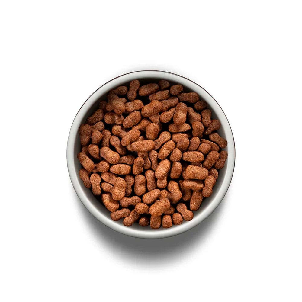 image_2658767a-e68d-4b69-a09d-6eb3b7394667