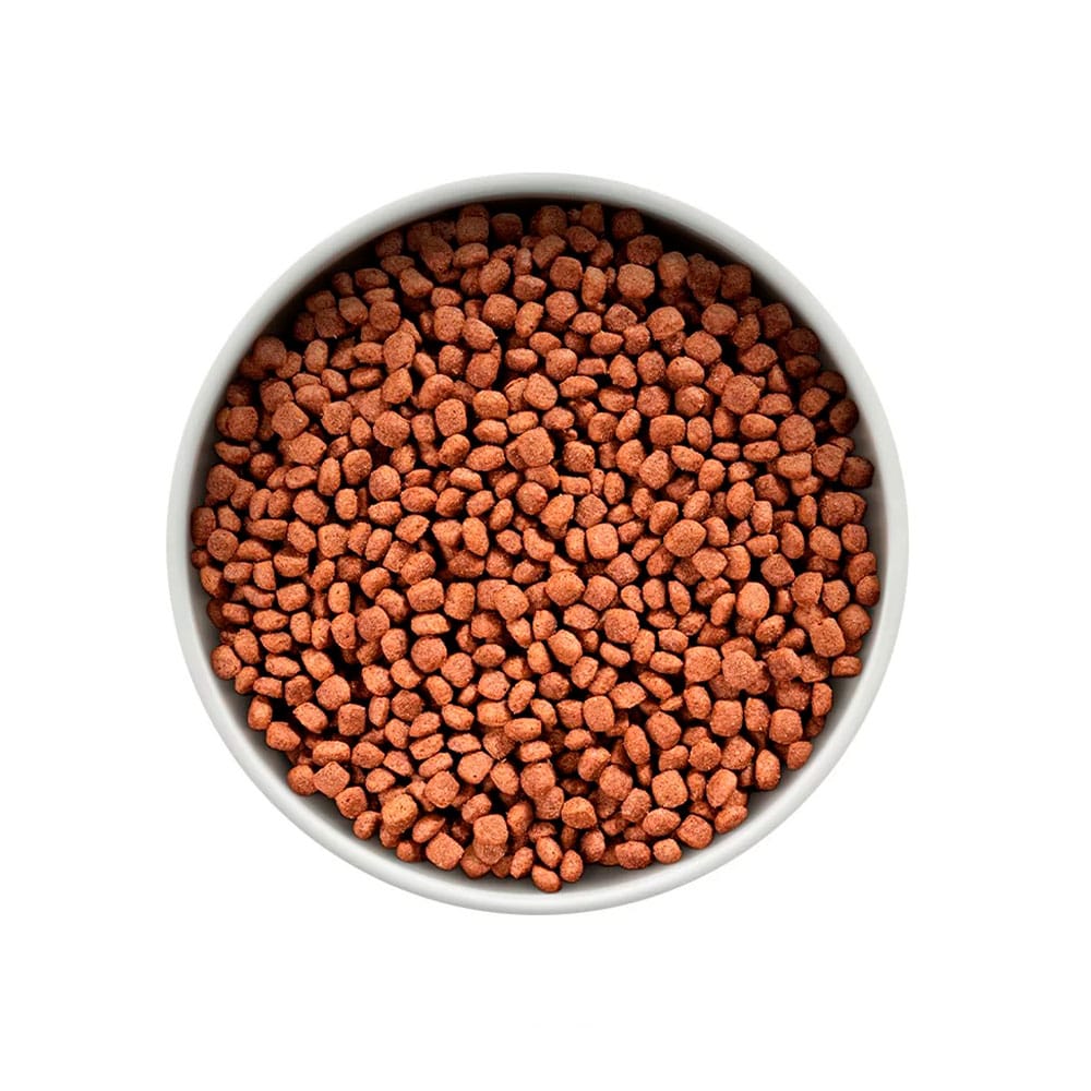 image_f0da16e9-857a-4445-94d8-006ef9685851