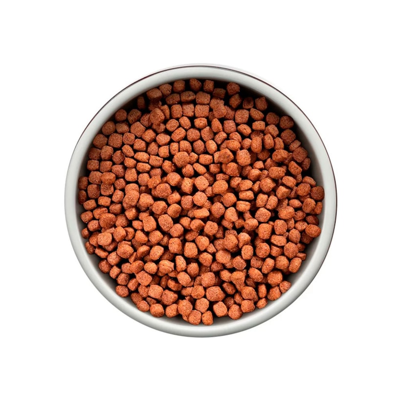 Product main image - dd542b7b-7b07-460b-a73d-3bdc56c8d9ee