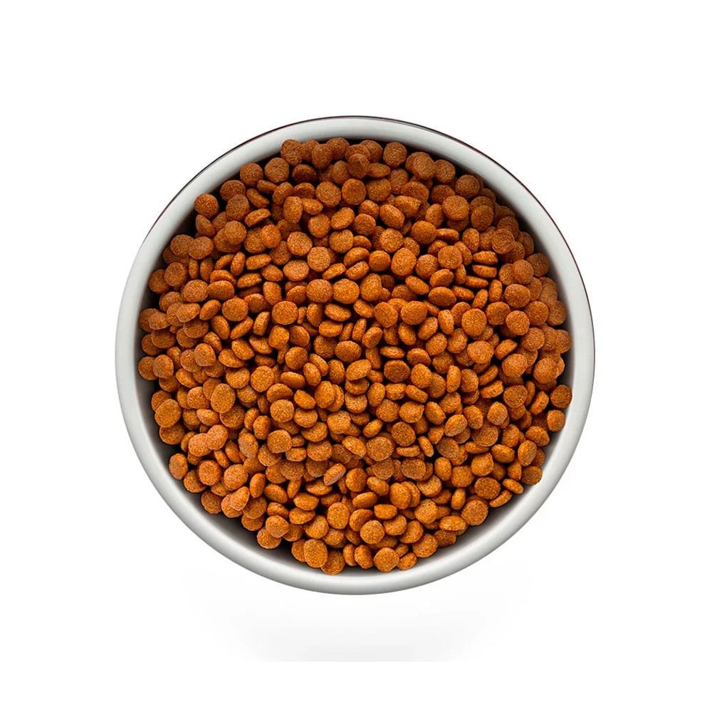 image_f826c1fa-a562-408e-a469-9fe5bf1242d3