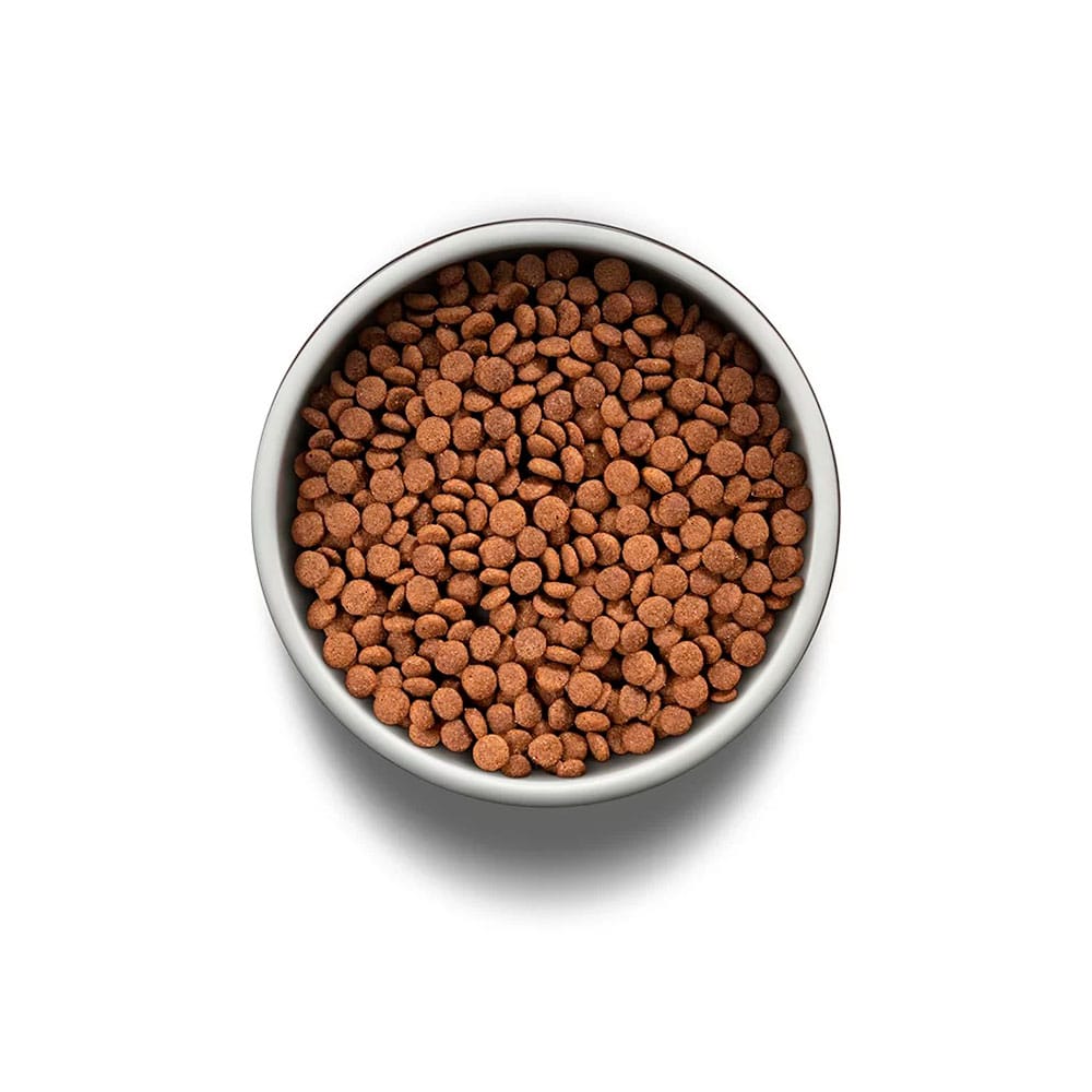 image_414b1a54-1c1c-4776-99c9-205171581afb