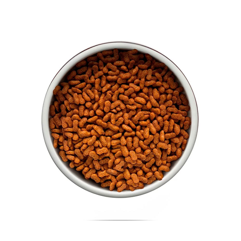 image_e96fbff7-7bd3-4e27-a307-4931632740af