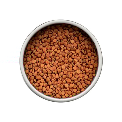 Product main image - 68ebbcec-ca0c-4922-aa90-ffd670c3774e