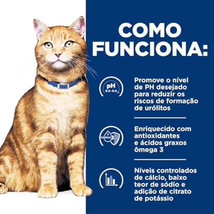 image_e5d1f1f1-340c-4f16-8afb-ea37e60f4778