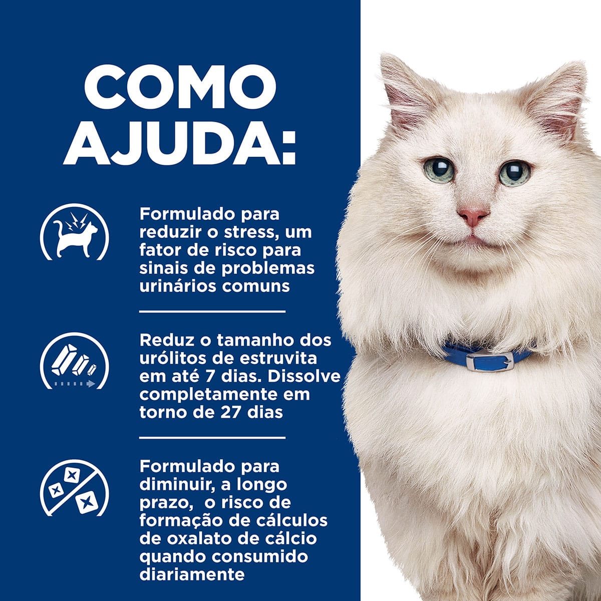 image_c77a0f5d-8c0e-4c7a-948f-b3340bd32e3b