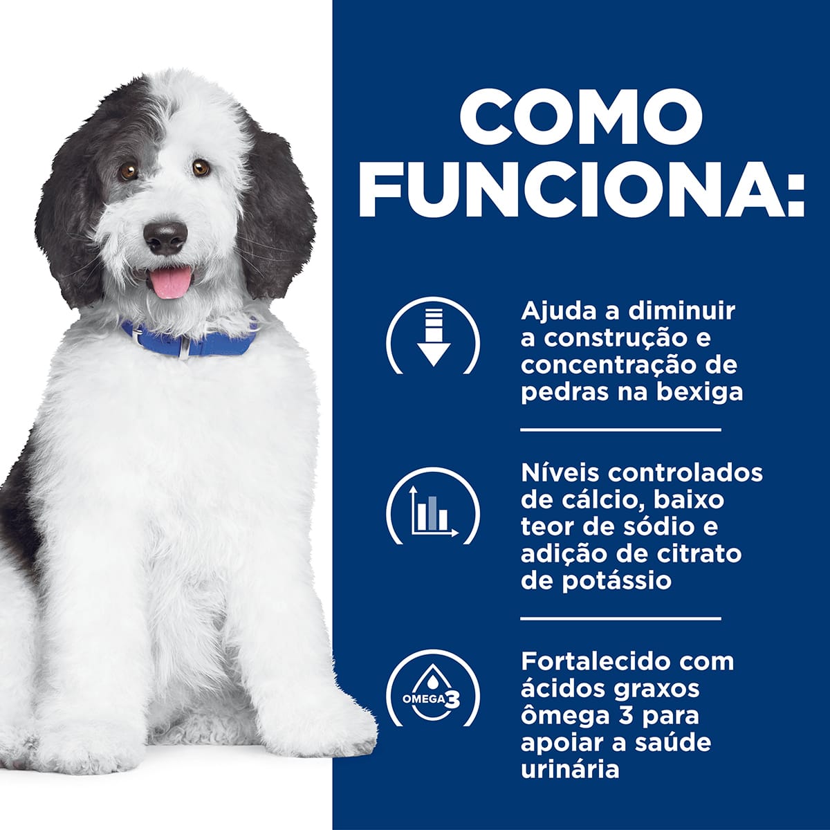 image_3ec840a4-0ad6-42e6-bbf2-fcf1186dbdf8