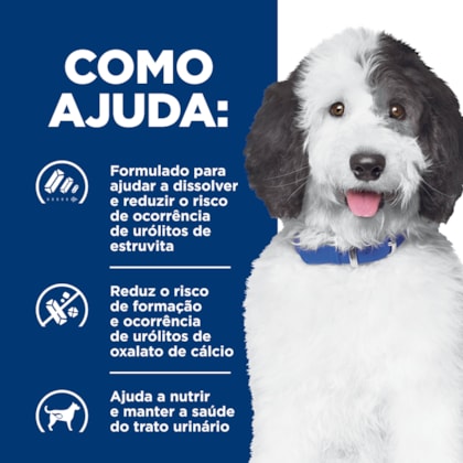 image_b6eb0195-72ef-499c-a932-b18acfbabd2f