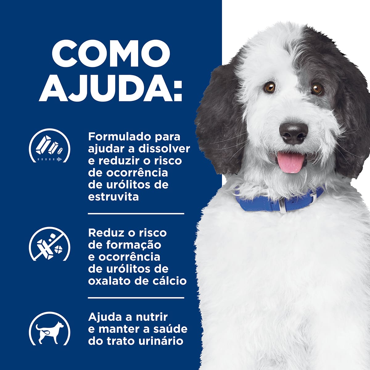 image_7dc8cbf7-e8a3-4407-944f-d8ae7111af78