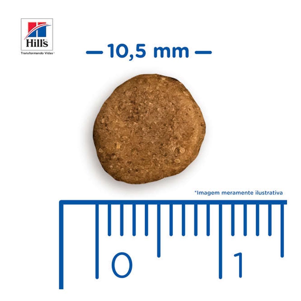 image_6ed680f9-78f5-4925-b9f4-8bd8f9b74461