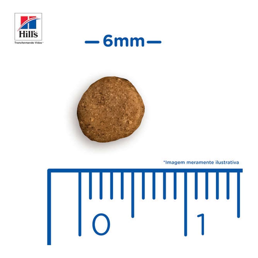 image_eabcfe0c-3874-40a0-88ad-0937785fdfb2