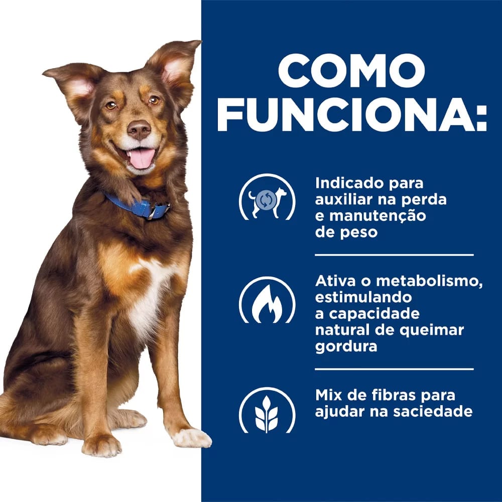 image_b804d947-d5bf-496f-8877-cbfa01574595