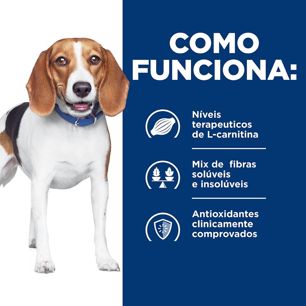 image_6b7e9a8c-6d21-490e-b0c7-0b0d4df9aa25