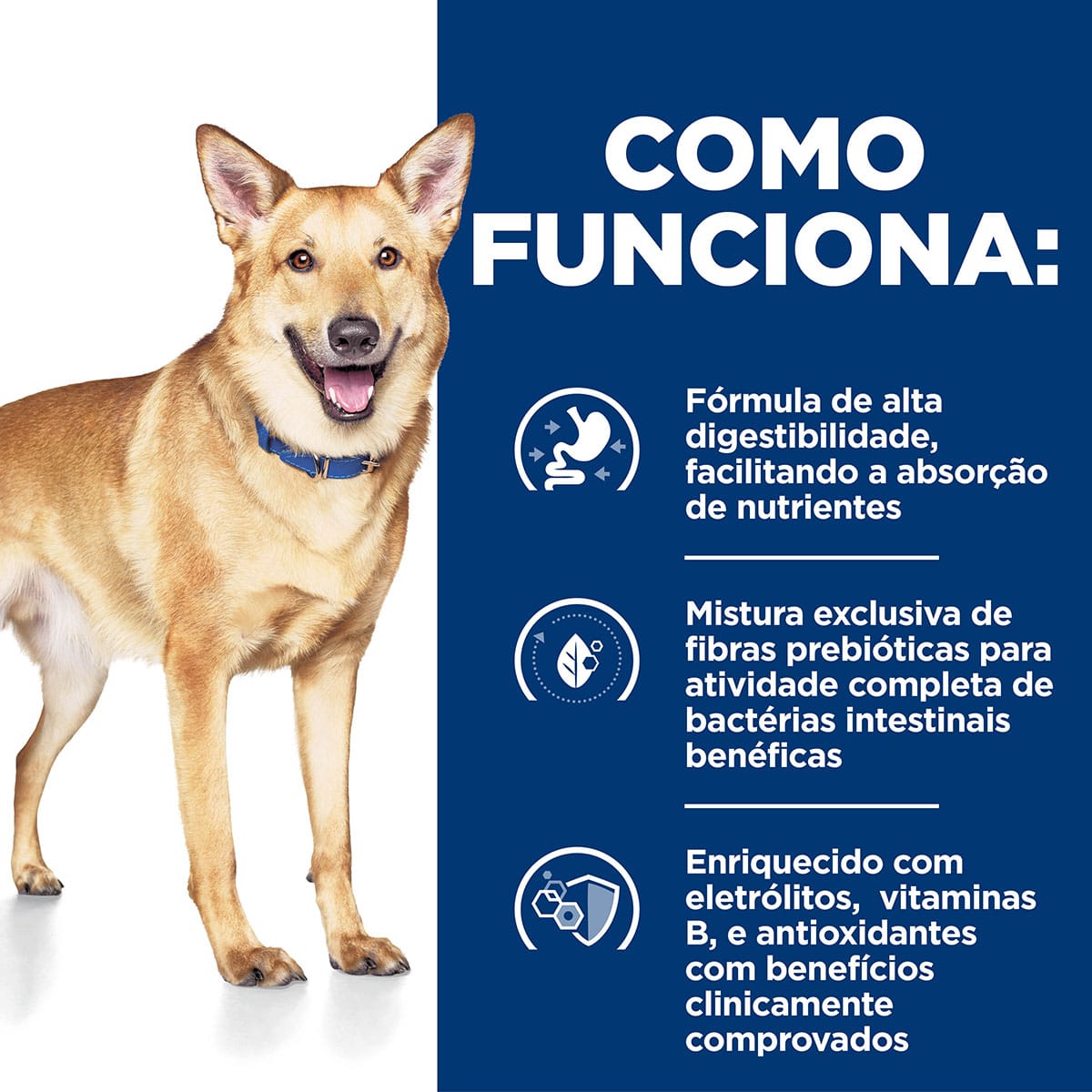 image_f75fce70-5dea-4bad-ae42-bd49f87198e7