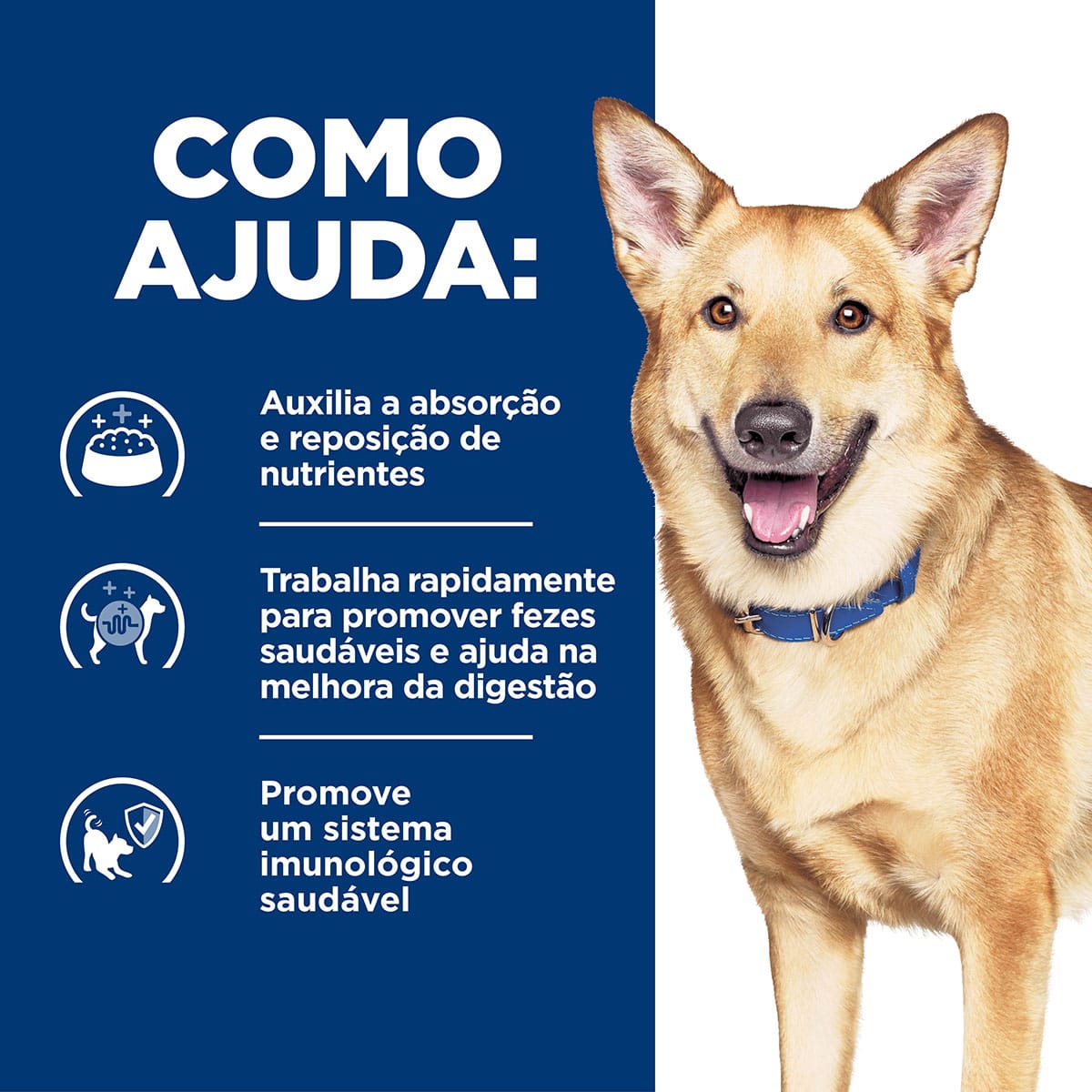 image_1ad3fb0e-d66c-46b1-b2cd-10ac021c59b8