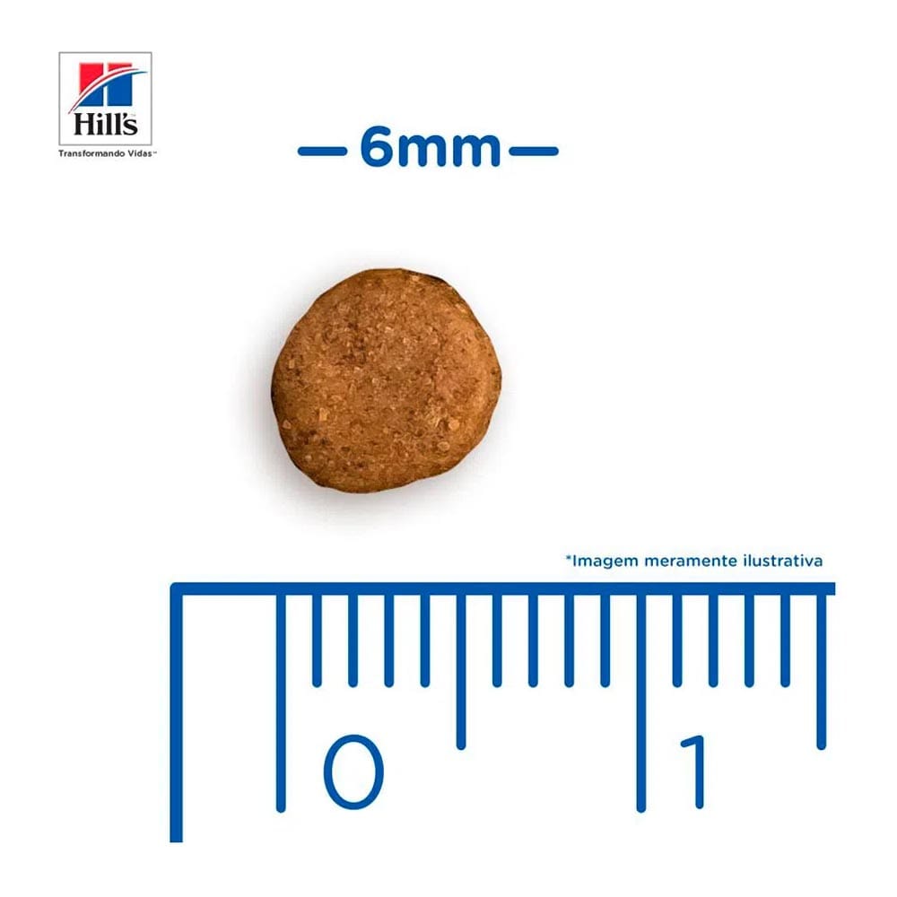 image_9981118b-2b8c-449e-8111-7118831683e8