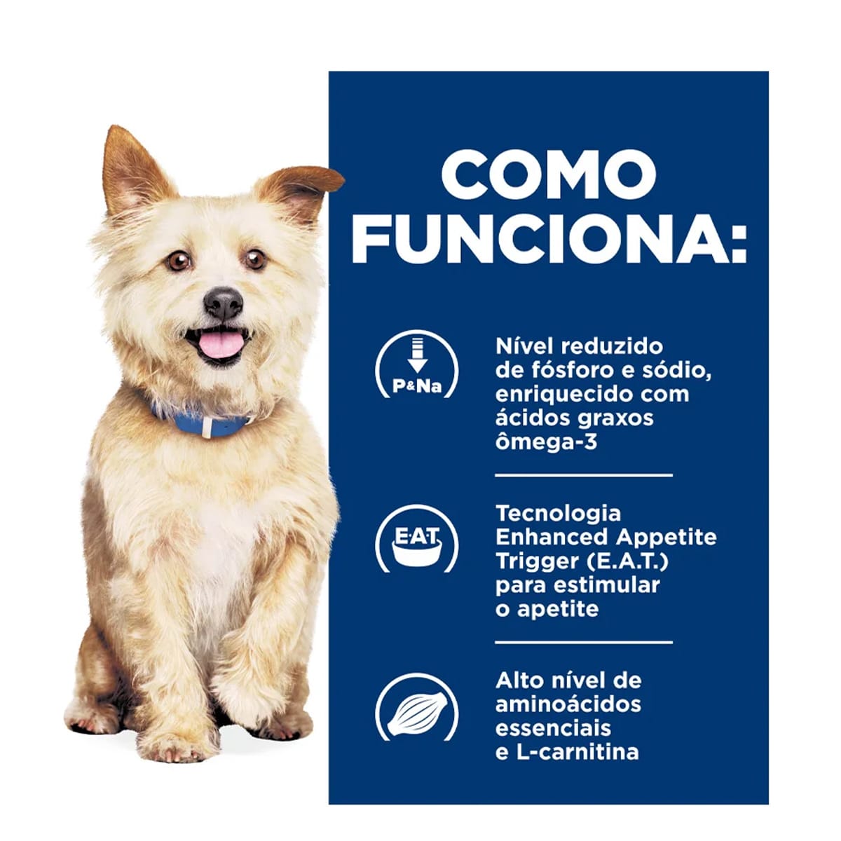 image_1946812d-a6ab-424c-a7d3-5b0f18f9700f