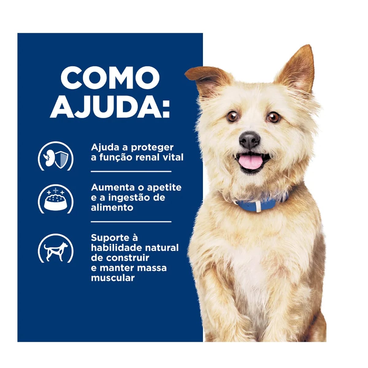 image_d746fdfa-e8e2-41e9-94bc-3b3b6c64d785