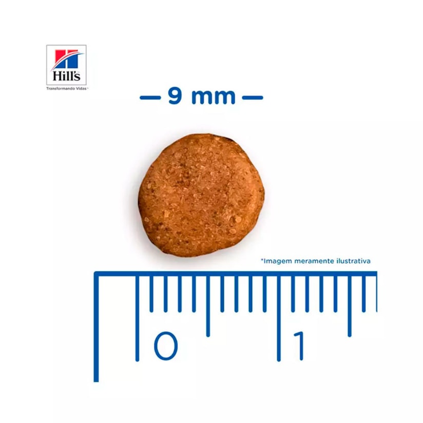 Product main image - 888a93c5-baf6-49f3-b1bd-ad65db17737e