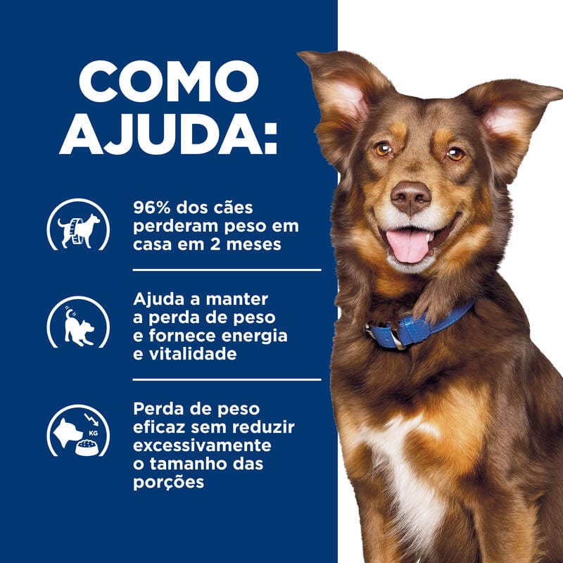 image_473d292c-fcc2-462d-a428-8da70db6669b