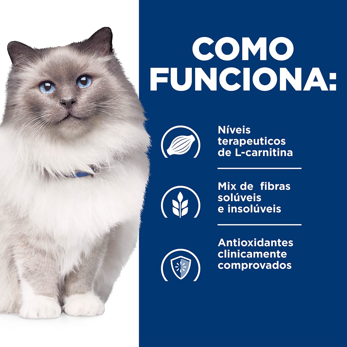 image_ce09ae70-07df-44b9-8d89-9f9ea8b62e3e