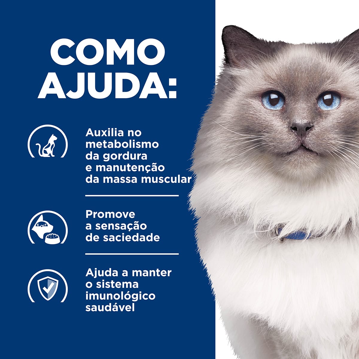 image_65d968d2-22ab-472c-8375-8c3ea425ab8a