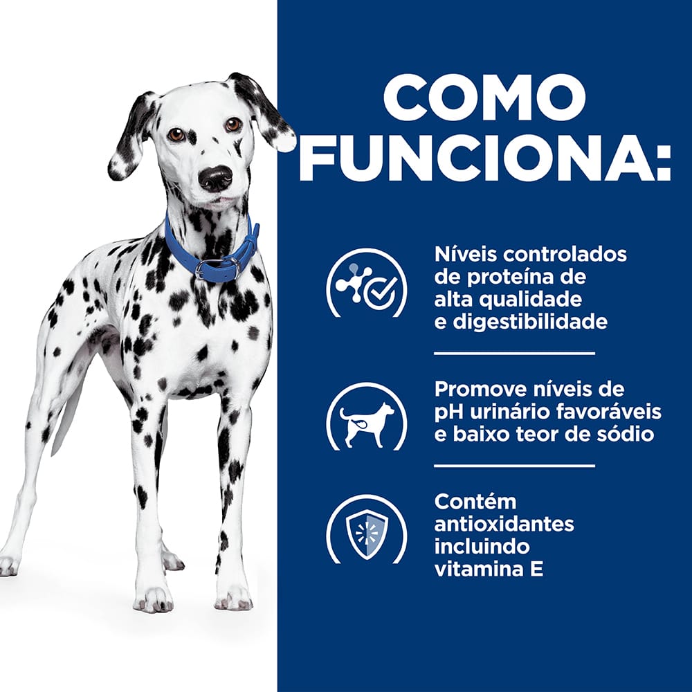 image_d71624cf-76be-4f0e-8a74-e4c5864cddcb