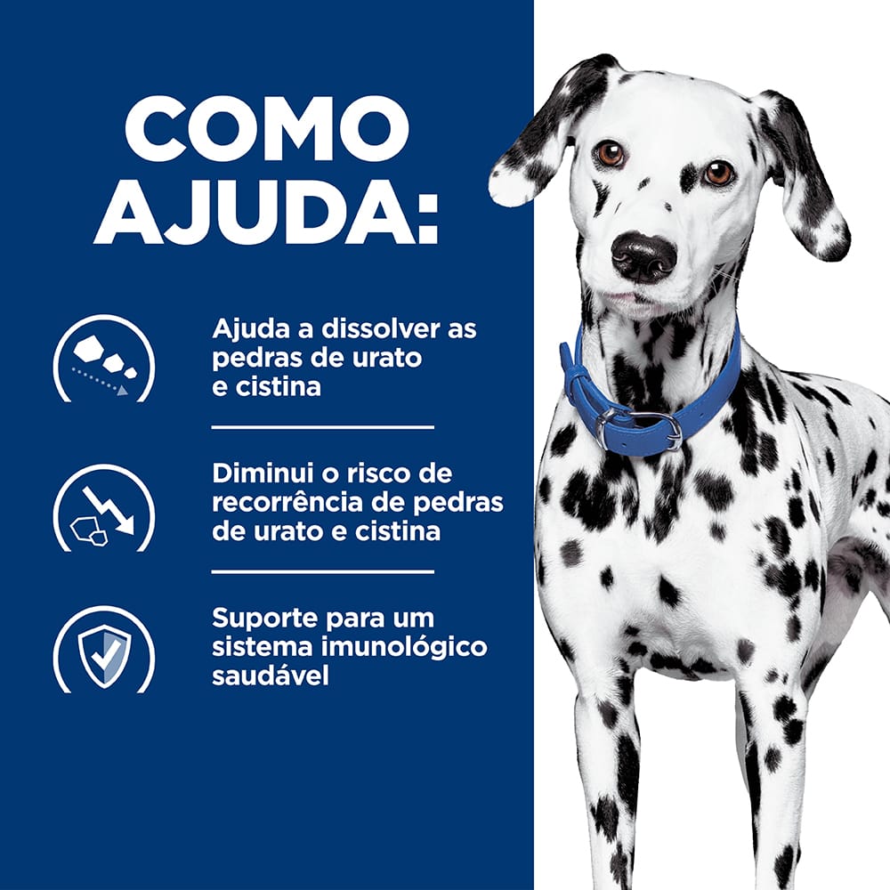 image_a9a197a3-8bb2-4553-8a16-2c788a5b0ddb