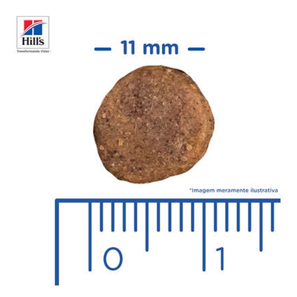 image_47eb943c-221c-4399-aca1-6c468a4415f7