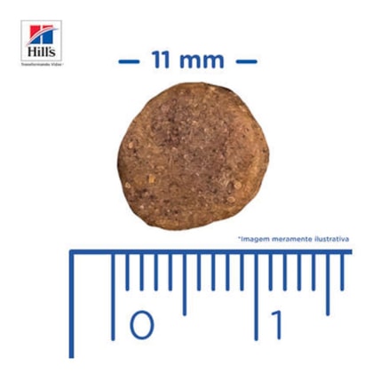 image_0a585330-dbc3-4aa2-b045-ef1d9f830706