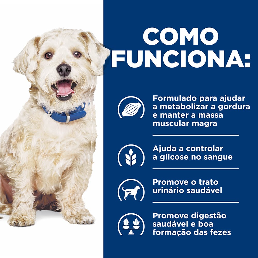 image_83db5685-7888-429d-9e56-dfc1b5b04b2a