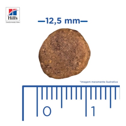 image_090bdb38-680b-43d3-b666-dc359941d374